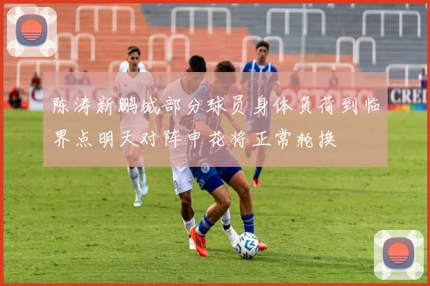 陈涛新鹏城部分球员身体负荷到临界点明天对阵申花将正常轮换